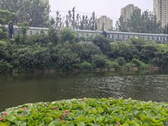 -前关湿地公园