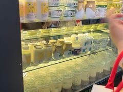 -德禄酸奶(莫家街店)