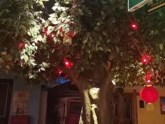 -老阿妈蒙古村·蒙古包·草原文化·歌舞表演(老君堂店)