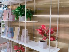 -奈雪的茶(新天地广场PRO店)