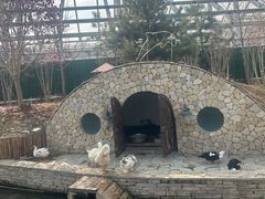 -南宫五洲植物乐园