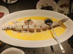 鸡汁葱油蒸大湖白鱼-湖里春风·淮扬菜(丽泽天街店)