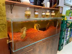 -鲜鲜·鲅鱼圈海鲜(于洪店)