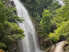 -大围山国家森林公园