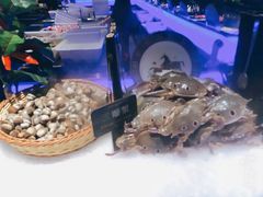 -加餐海鲜自助(宝龙一城店)