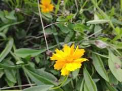 -三圣花乡旅游区