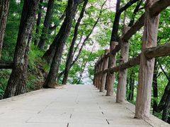 -牛背梁国家森林公园