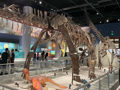 -国家自然博物馆