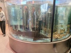 -海底捞大排档火锅(打浦路店)