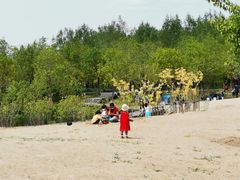 -东郊湿地公园