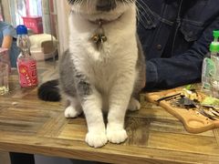 -小时光咖啡馆(开森度假森林店)