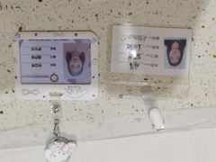 -宠爱国际动物医院·疑难骨科·心肾内科·皮肤科(太阳宫店)