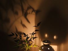 -ChaKo Flora ·茶子花艺 (市北店)