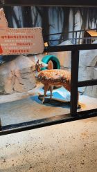 -酷嗒动物文化乐园(cutezoo西溪乐天城店)