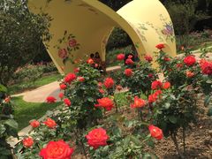 -人民公园(罗湖区)