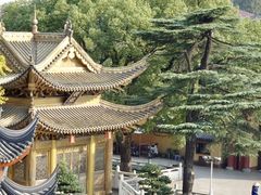 -上海东林寺(金山区)