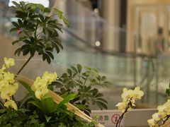 -王府井步行街