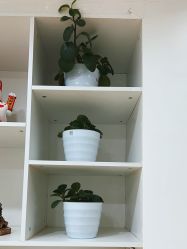 -成都西区医院整形美容