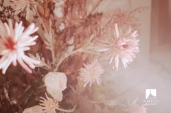 -琥珀婚礼策划AMBER WEDDING