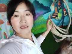 -北京鹿世界主题园