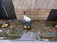 -广州香格里拉酒店