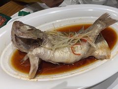 -大鸽饭(木莲中路店)