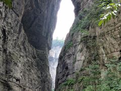 -大苹果面包生日蛋糕(创新店)