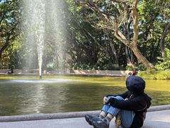 -九龙公园