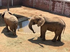 -西霞口神雕山野生动物世界