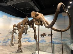-辽宁古生物博物馆
