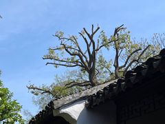 -沧浪亭