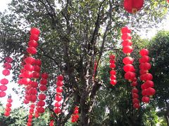 -中澳友谊花园