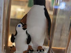 -初拾·花里餐厅(钜城华亿店)