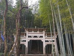 -午潮山国家森林公园