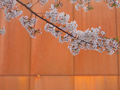 -龙美术馆(西岸馆)