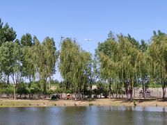 -东郊湿地公园