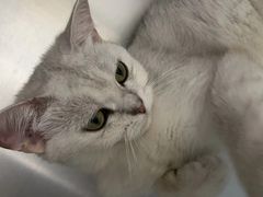-宠颐生宠物医院·骨外科·犬猫全科诊疗中心(池州店)