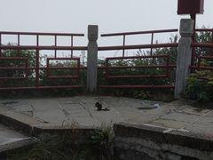-峨眉山风景名胜区