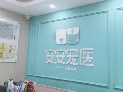 -安安宠医宠物医院·异宠·犬猫内科(岳阳分院)