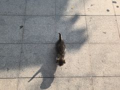 -张家港金凤凰度假村温泉