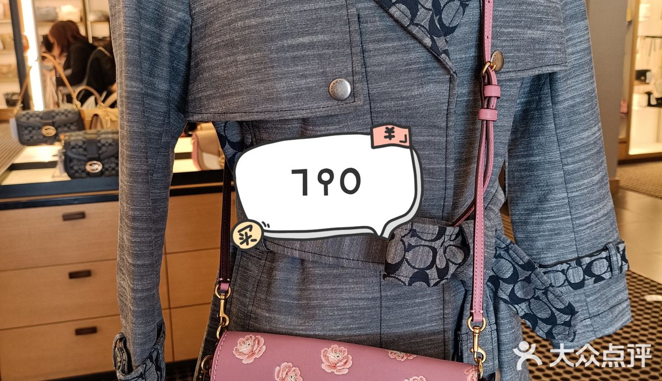 这是另外的价钱之蔻驰2折特卖