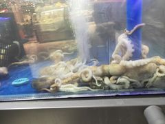 -大润发(南湖店)