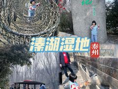 -溱湖国家湿地公园