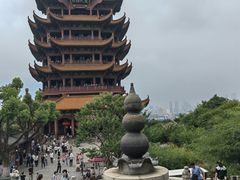-小凤庭·地道湖北菜武昌鱼·藕汤(38年黄鹤楼店)
