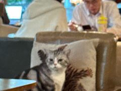 -咖法森林·咖啡  酒吧(天河店)