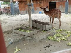 -国色天乡三期陆地乐园