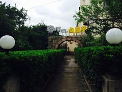 iphone_upload_pic-向日葵咖啡