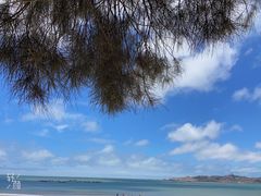 -阿弟特色海鲜餐厅·大排档(平潭店)