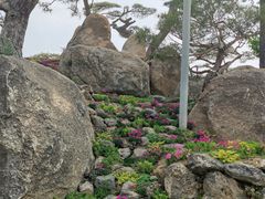 -罗红摄影艺术馆