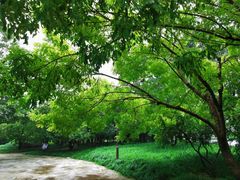 -元大都城垣遗址公园